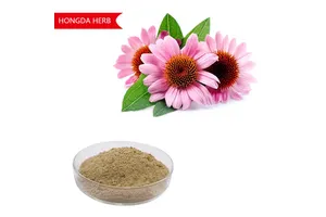 Napkins OEM/ODM Virgin Wood Pulp Multi-Purpose Lint-Free Eco-Green Disposable Catering Paper Napkins Napkins Tissue Paper