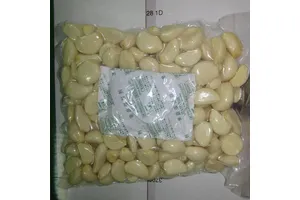 2-(3,4-二氯苯基)吗啉盐酸盐