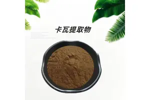 N,N'-二环己基碳二亚胺(DCC)