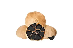 Biological Chemical Products Market Trends for Global Buyers: Complete 2025 Guide No.1