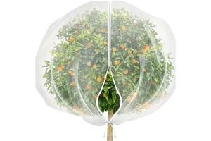 5-氯苯并[C]异噻唑