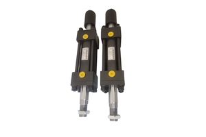 ECL Pico Light Chemiluminescence Kit