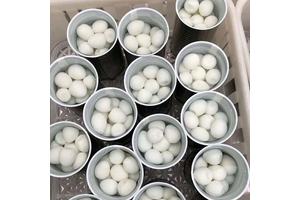 (羟基甲基）三苯基氯化