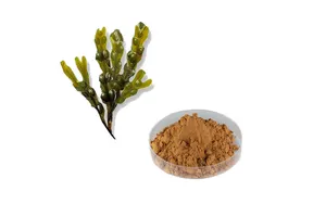 Naphthalene, 3-(broMoMethyl)-1-chloro-