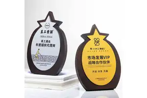 锂 2-(4-(甲基磺酰基)苯基)乙酸酯