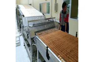3,5-二溴-D-酪氨酸