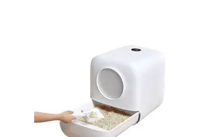 异丁醛