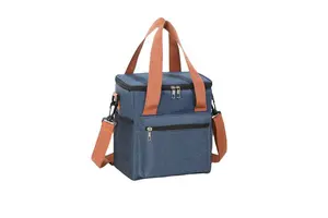 Amberlite® IRC-748
