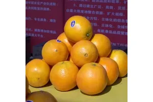 k5魅plus鱼竿