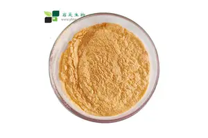 N,N′-Dicyclohexylcarbodiimide