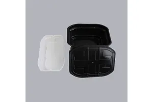 2-溴-4-丙基噻唑-5-羧酸
