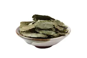 2,5-二氯-1H-吲哚-3-甲醛