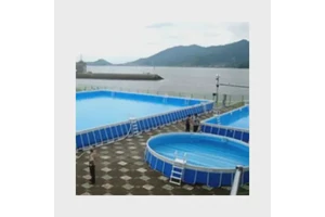 2-(氯甲基)-4-苯基氰吡啶