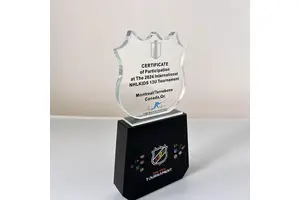 内南五味子酯丁