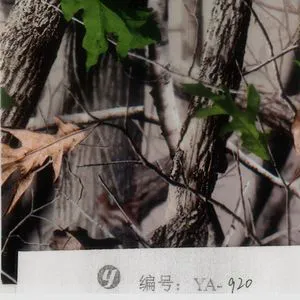3-氧代-2,3-二氢-1H-茚-4-甲酰胺