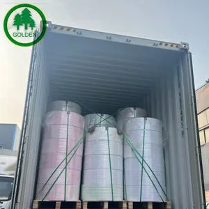 气相纳米二氧化硅