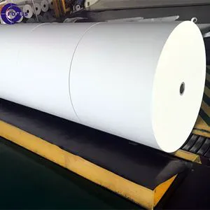 鼠尾I型胶原蛋白溶液