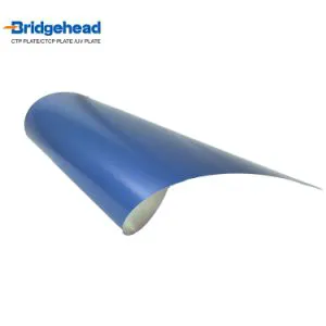 Ratchet Strap Tie Down 5T 10m WHS-1707 - Polyester + Steel Hook