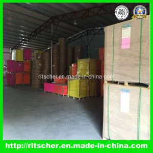OEM Disposable Plastic Fruit Vegetable Box Transparent Blister Salad Box Clamshell PET Tray for Noodles Cake Foods on the Go