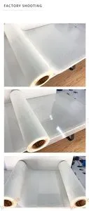 纳米铂分散体