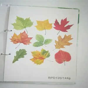 Fiber Sustainability for Bulk Purchasing: Complete 2027 Guide No.115