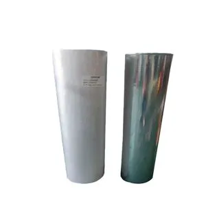 3036022-06-4