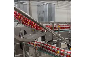 2-甲基-4-(甲基氨基)丁-2-醇