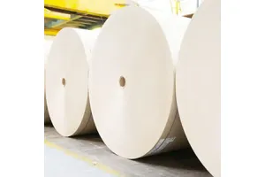 Wematch Digital Printing Banner Lona Rolls Flex Banner Printing 13oz Canvas Roll Frontlit Flex Banner 440gsm