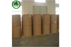 Disposable Square Strawberry PET Plastic Box with Lid Clamshell Container for Industrial Food Packaging