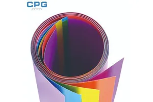 Disposable 145Mm 210Mm 3 Channels 50X30 210*140 Ecg Paper for Schiller