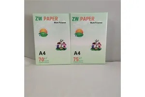 1-((4aR,6R,7R,7aS)-2,2-Di-tert-butyl-7-hydroxytetrahydro-4H-furo[3,2-d][1,3,2]dioxasilin-6-yl)pyrimidine-2,4(1H,3H)-dione