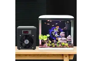 酒精