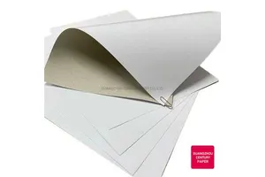 SailingPaper BPA-Free Thermal Paper Roll 57x40mm for High-Performance POS Printing