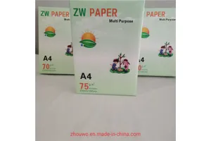 paper packaging Production Lead Time for Bulk Purchasing: Professional 2026 Guide No.411